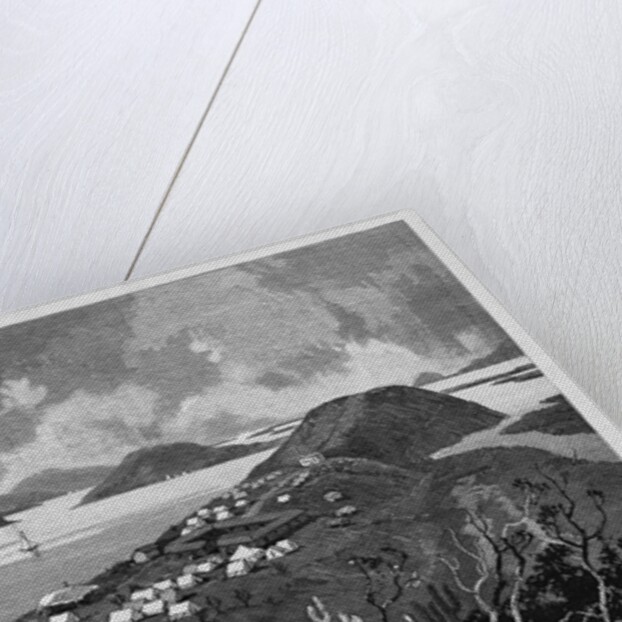 The New Pacific Colony, Topolobampo, Sinaloa, Mexico by Charles Graham