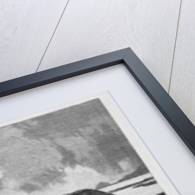 The New Pacific Colony, Topolobampo, Sinaloa, Mexico by Charles Graham