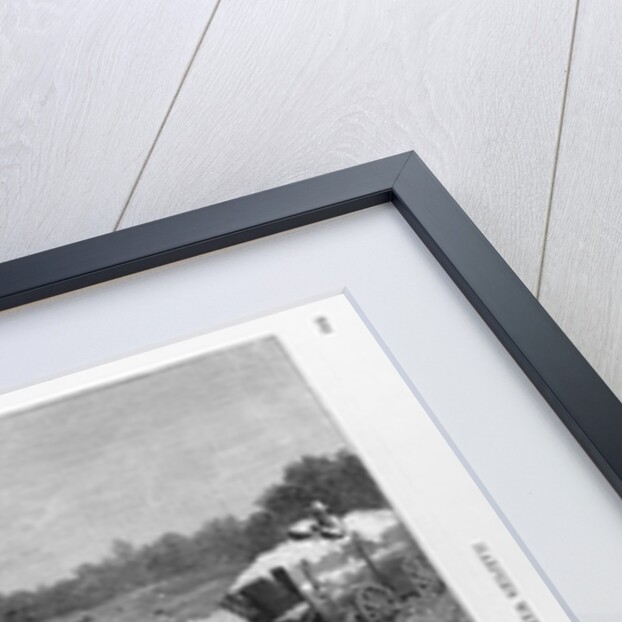 In a cotton field by Horace Bradley