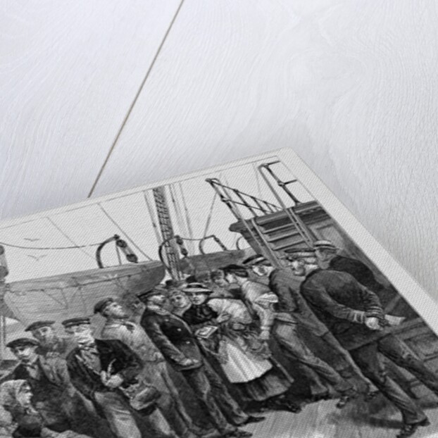 The steerage passengers of a European steamer being examined by the Health Officers by A. Berghaus