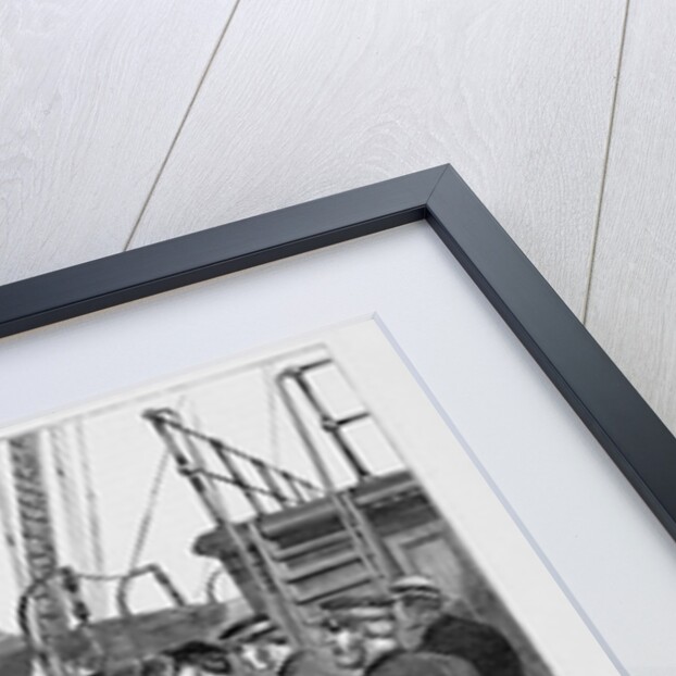 The steerage passengers of a European steamer being examined by the Health Officers by A. Berghaus