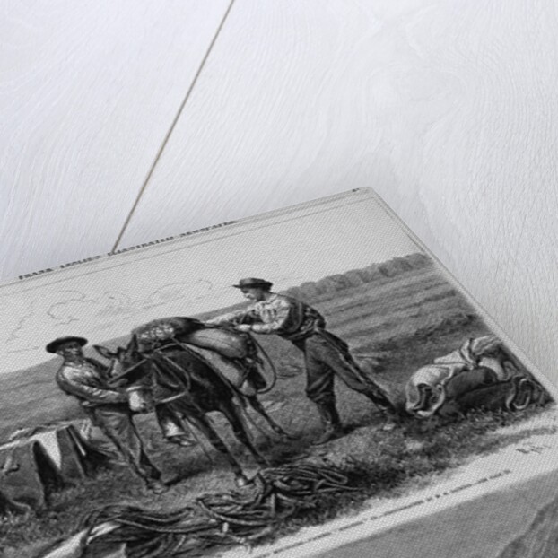Professor Hayden's Expedition of the rocky Mountains - Packers 'Cinching' Up. Professor Hayden's Exp by Anonymous