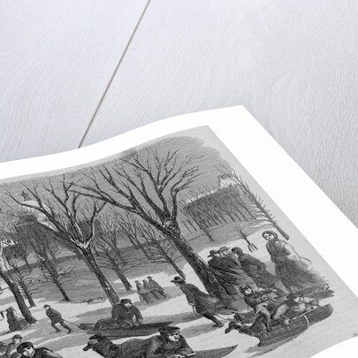 Boys Coasting on Boston Common Illustration by Anonymous
