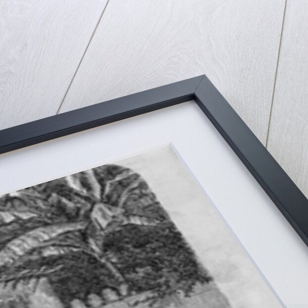 Exterior of an Egyptian Fellah's House by Anonymous