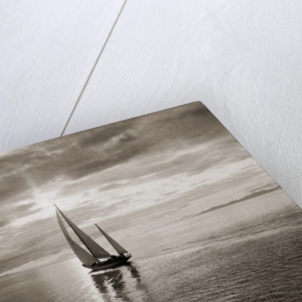 Diamond Head Yacht in Swiftsure Race by Anonymous
