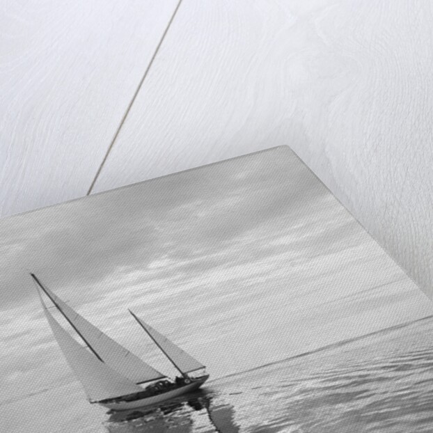 The Maruffa Sailboat in Calm Water by Anonymous