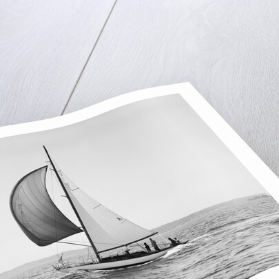 A Sailboat Running with Its Spinnaker Up by Anonymous