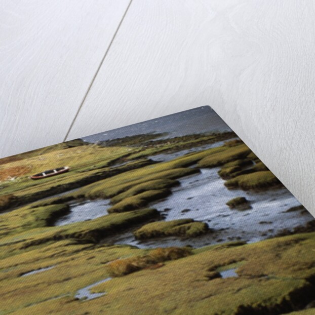Marsh on Clew Bay by Anonymous