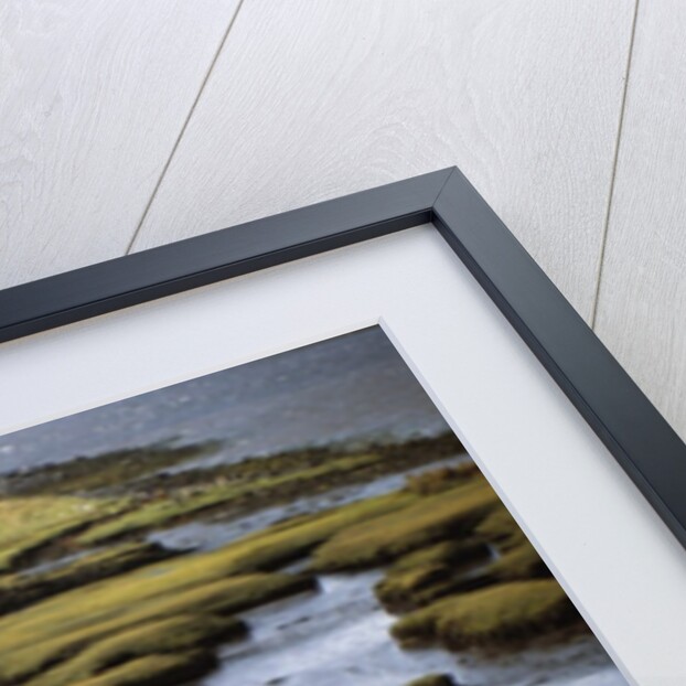 Marsh on Clew Bay by Anonymous