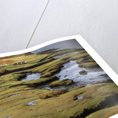 Marsh on Clew Bay by Anonymous