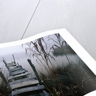 Weathered Dock in Fog by Anonymous