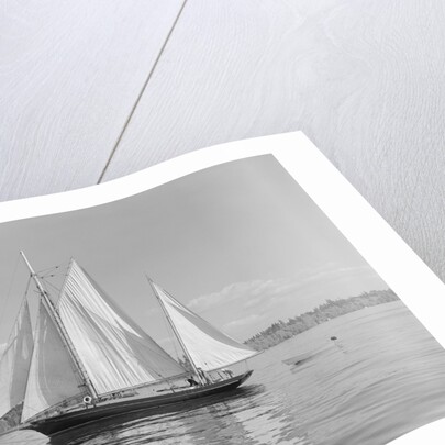 The Thetis Sailing on Lake Washington by Anonymous