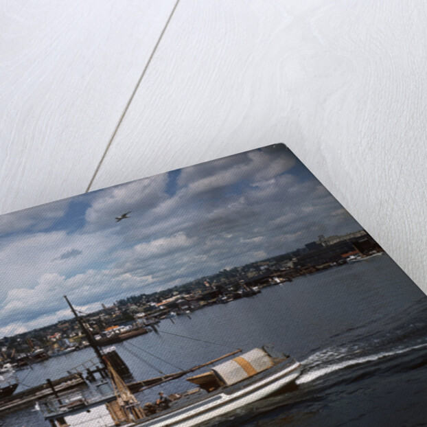 Halibut Fishing Vessel Alma in Salmon Bay by Anonymous