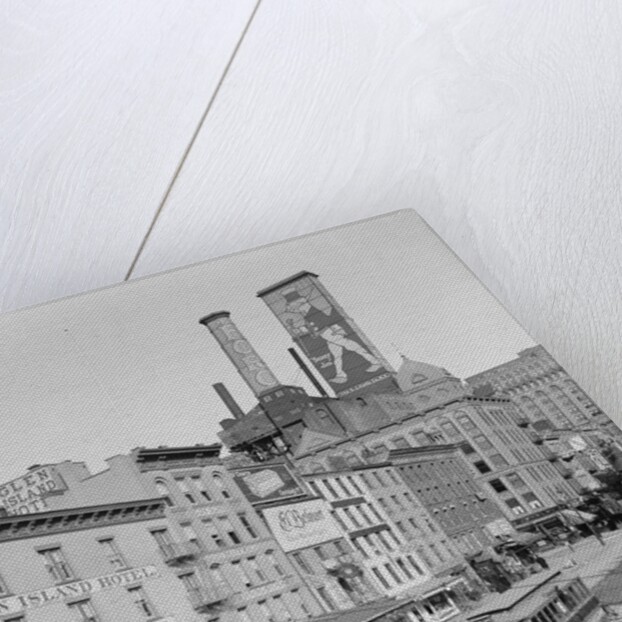 Cortlandt Street in Brooklyn by Anonymous