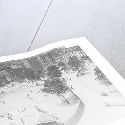 Mulberry Bend Park by Anonymous