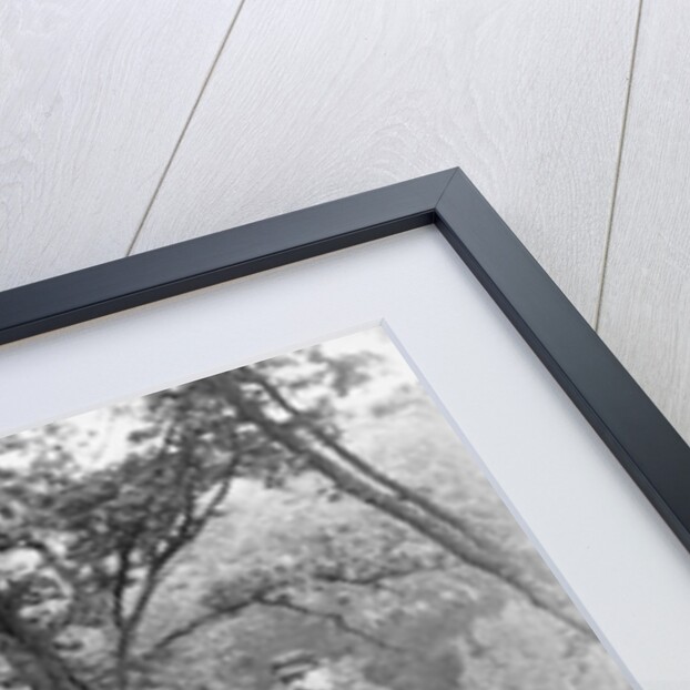 Bicyclists in Central Park by Anonymous