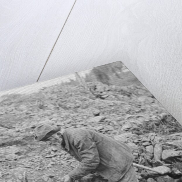 Elderly Miner Named "Daddy" by Anonymous