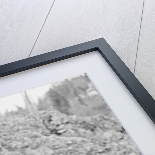 Elderly Miner Named "Daddy" by Anonymous