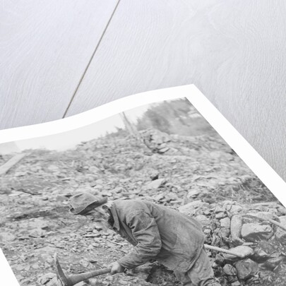 Elderly Miner Named "Daddy" by Anonymous
