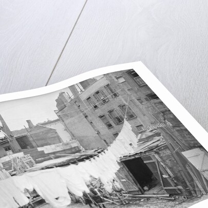Clothesline and Tenements by Anonymous
