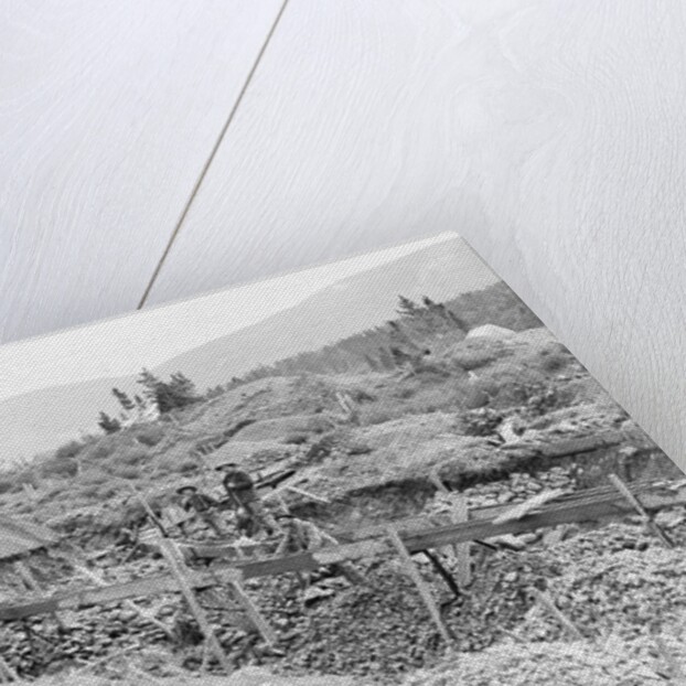 Sluice Mining in Alaska by Anonymous