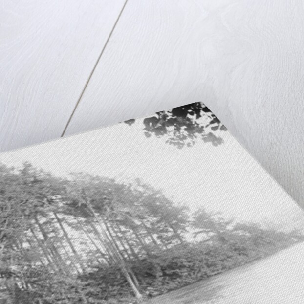 People Riding in a Rowboat by Anonymous