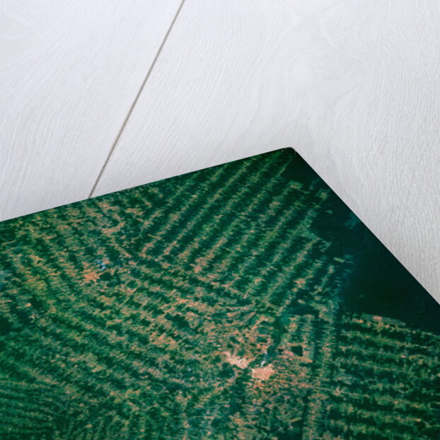 Brazilian Agricultural Fields from Space by Anonymous
