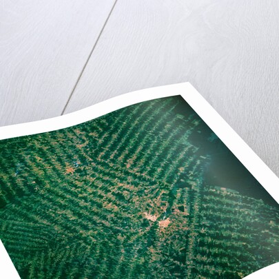 Brazilian Agricultural Fields from Space by Anonymous
