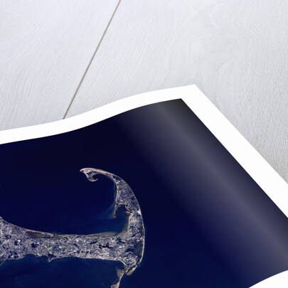 Cape Cod from Space by Anonymous