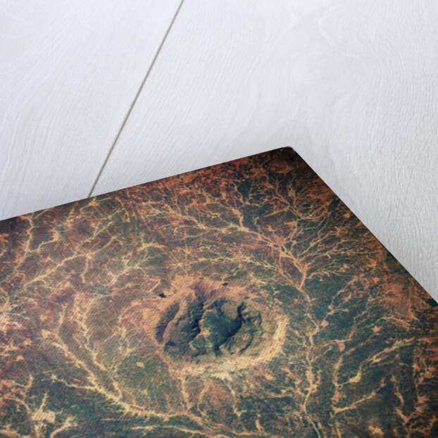 Indian Forest Preserve From Space by Anonymous