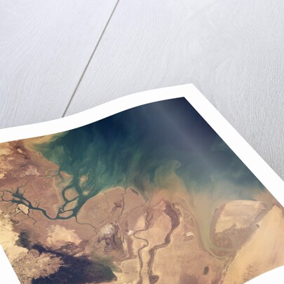 Persian Gulf Seen From Space by Anonymous