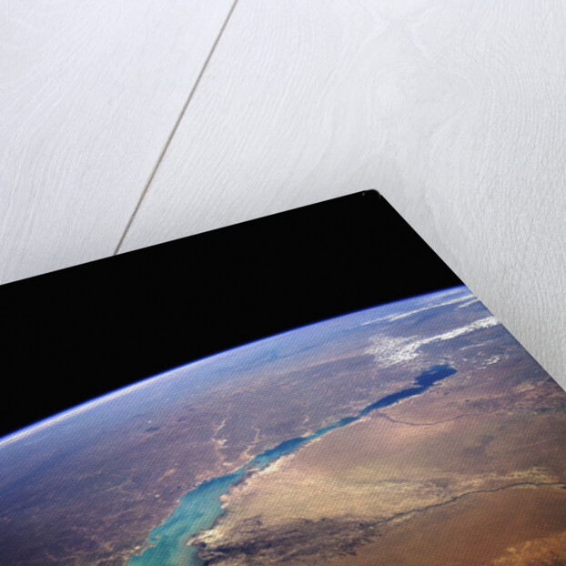 Lake Balkhash Seen from Space by Anonymous