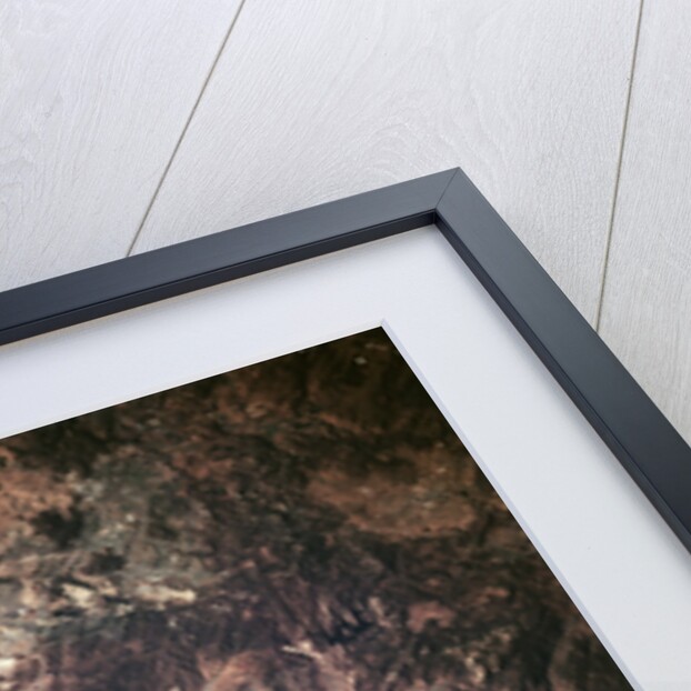 San Diego from Space by Anonymous