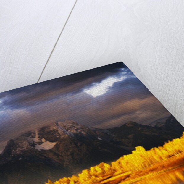 Mount Moran by Anonymous