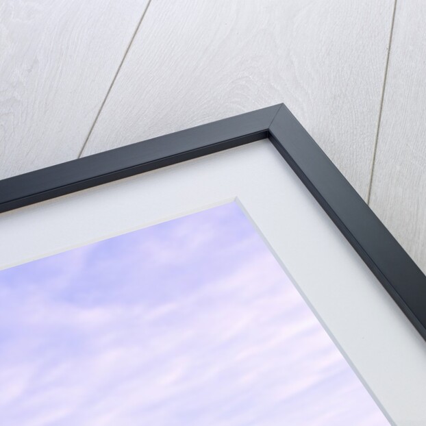 Stonehenge by Anonymous