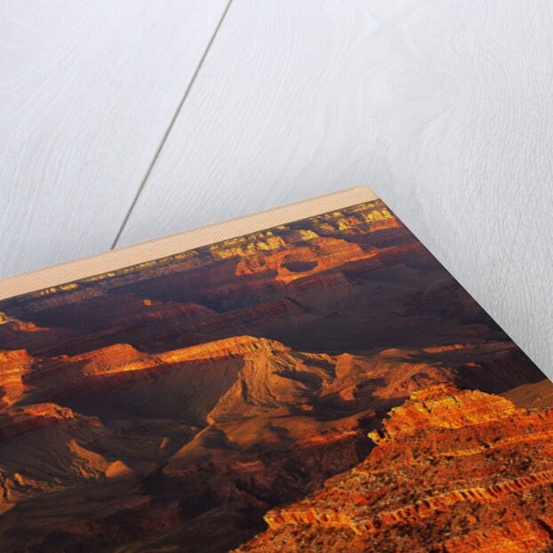 Grand Canyon Bathed in Sunlight by Anonymous