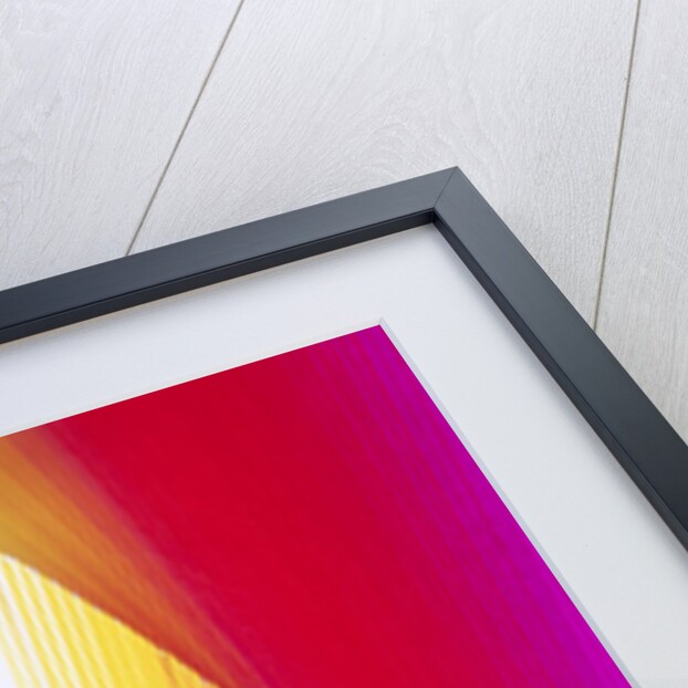 Colors by Anonymous