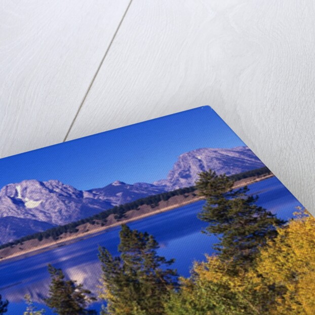 Mount Moran and Jackson Lake by Anonymous