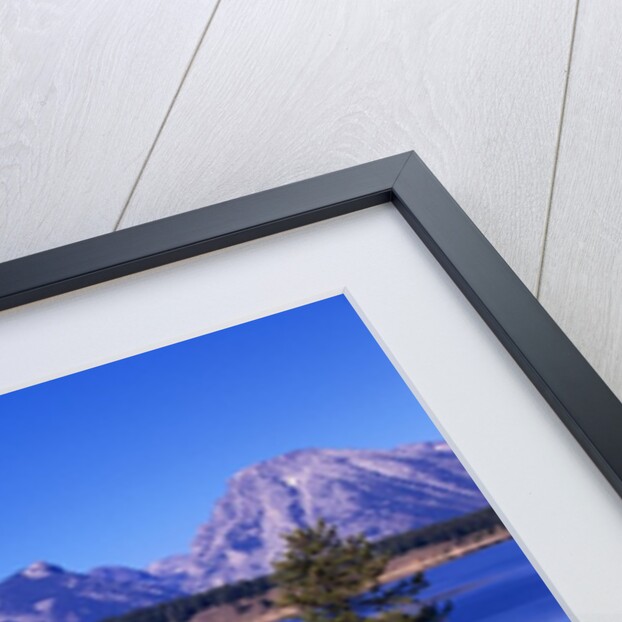 Mount Moran and Jackson Lake by Anonymous