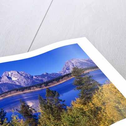 Mount Moran and Jackson Lake by Anonymous