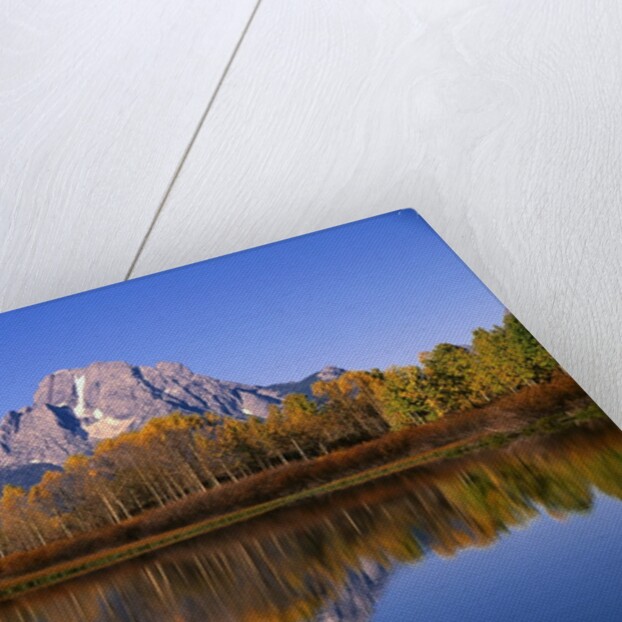 Mount Moran by Anonymous