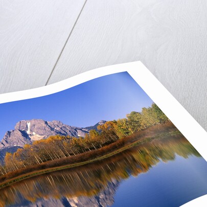 Mount Moran by Anonymous