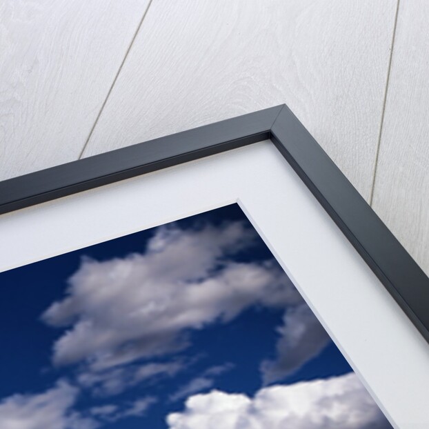 Puffy Clouds by Anonymous