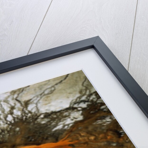 Grand Prismatic Hot Spring by Anonymous