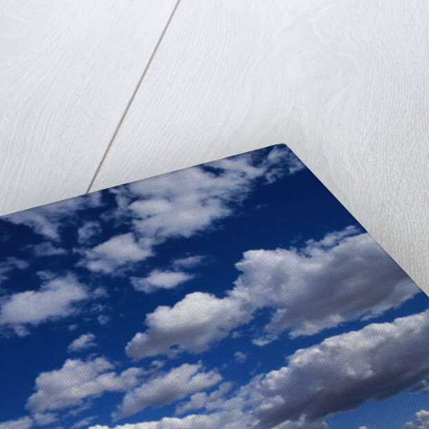 Puffy White Clouds in a Blue Sky by Anonymous