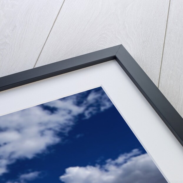 Puffy White Clouds in a Blue Sky by Anonymous