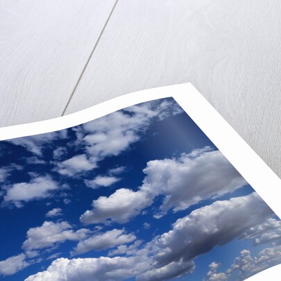 Puffy White Clouds in a Blue Sky by Anonymous