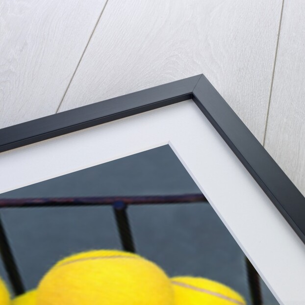 Tennis Balls in Basket by Anonymous