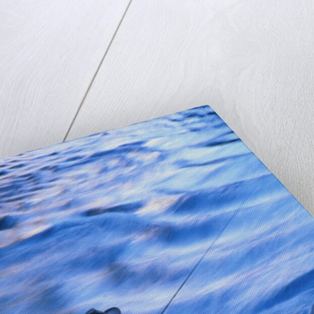 Fly Fishing on the Snake River by Anonymous