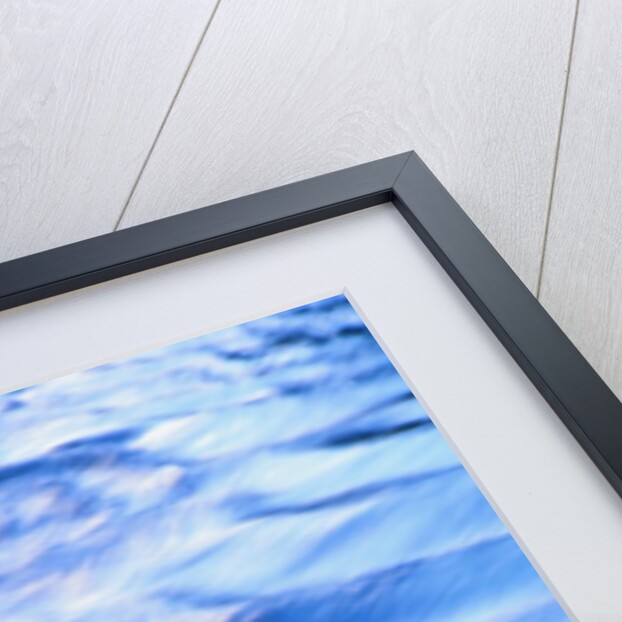 Fly Fishing on the Snake River by Anonymous